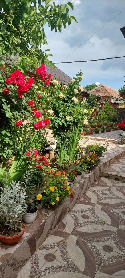 Greci Pensiunea Happy Flowers מראה חיצוני תמונה