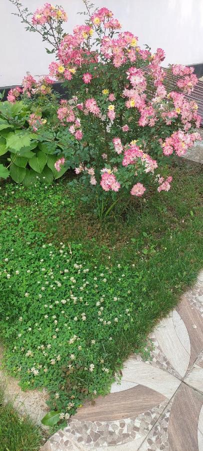Greci Pensiunea Happy Flowers מראה חיצוני תמונה