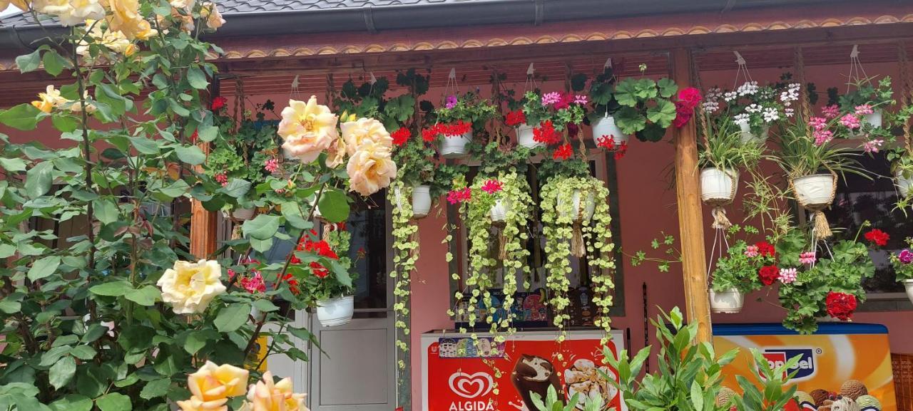 Greci Pensiunea Happy Flowers מראה חיצוני תמונה
